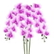 thumbnail image 1 of Uxcell 3-Pack Flores de Orquídea Artificial 9 Pétalos Grandes 37 Pulgadas Ramo de Seda Phalaenopsis Púrpura Oscuro Blanco Falsas Orquídeas para Hogar/Boda, 1 of 1