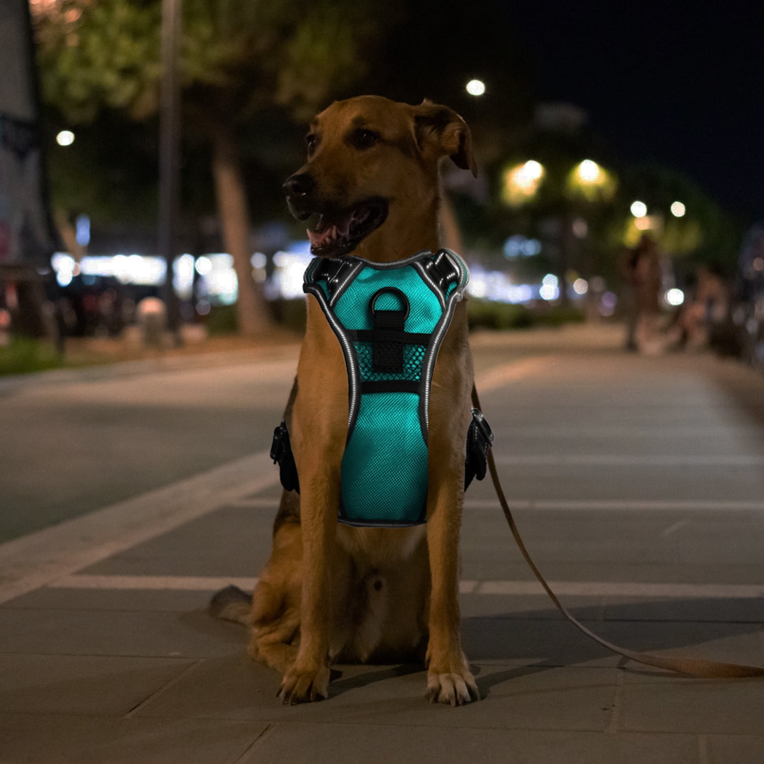 Teqhome Light Up Dog Harness LED No Pull Dog Harness Rechargeable Lighted Dog Vest Harness for Night Walking Adjustable Glowing Vest for 38.58-49.6lbs Dogs (Green, L)