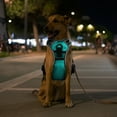 thumbnail image 5 of Teqhome Light Up Dog Harness LED No Pull Dog Harness Rechargeable Lighted Dog Vest Harness for Night Walking Adjustable Glowing Vest for 38.58-49.6lbs Dogs (Green, L), 5 of 12