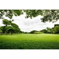 thumbnail image 2 of ABPHOTO 7x5ft Photography Backdrop Nature Landscape Green Grass Feild Trees Photo Background Backdrops, 2 of 4
