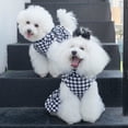 thumbnail image 3 of Vestido para perro CuteBone de terciopelo con cuello alto para perros pequeños CVD04XXS, 3 of 9