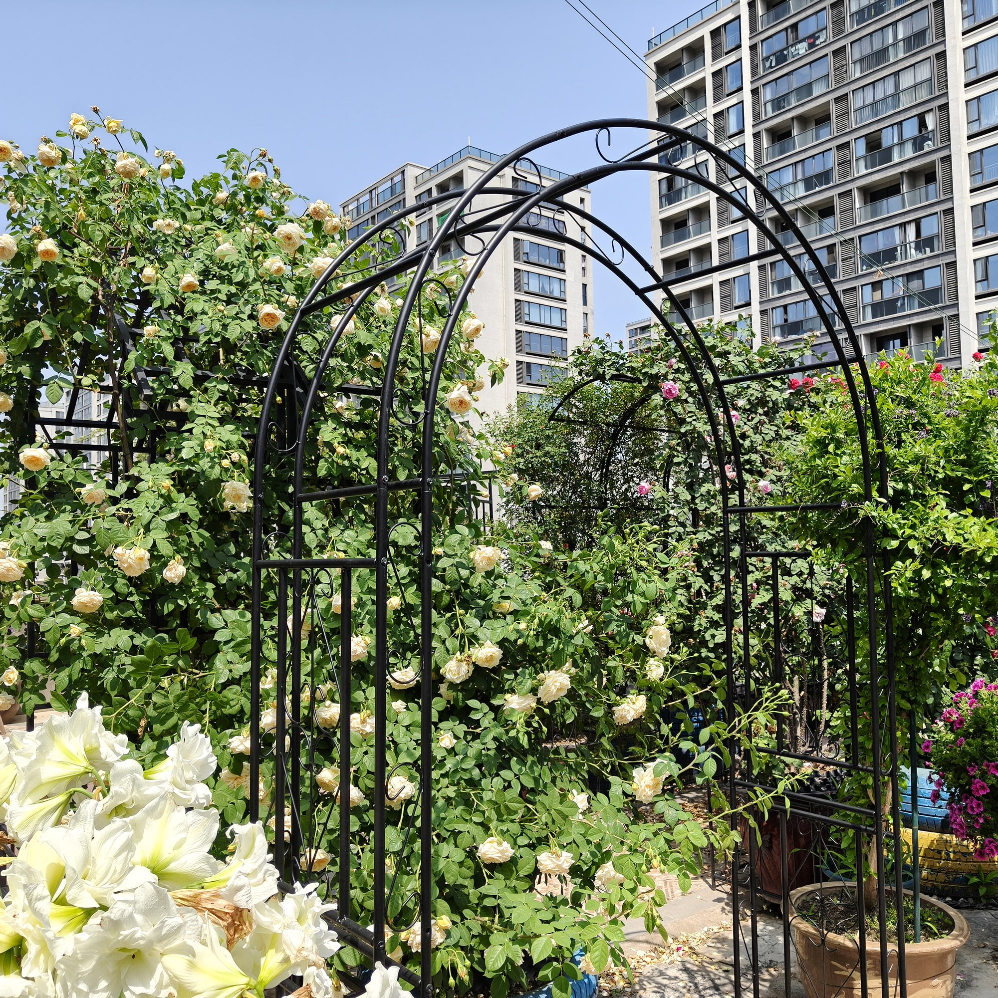 Garden Arch, Climbing Plants Support Rose Arch Outdoor Black L59" x W17.71" x H90.55"