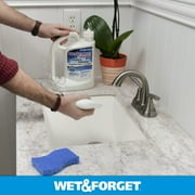 Wet and Forget Indoor Mold Mildew Disinfectant Cleaner, 64 oz