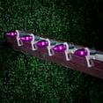 thumbnail image 6 of Novelty Lights 5 Pack C9 LED Outdoor String Light Patio Christmas Replacement Bulbs, Purple, C9/E17 Base, .75 Watt, 6 of 6