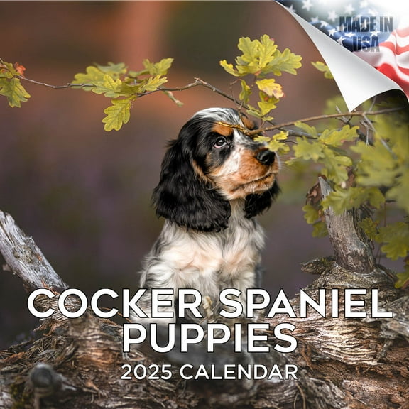 2025 2026 Cocker Spaniel Puppies Calendar - Dog Breed Monthly Wall Calendar - 12 x 24 Open - Thick No-Bleed Paper - Giftable - Academic Teacher's Planner Calendar Organizing & Planning - Made in USA