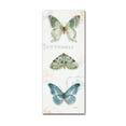 thumbnail image 2 of Trademark Fine Art "My Greenhouse Butterflies VI" Canvas Art by Lisa Audit, 2 of 4