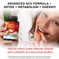 thumbnail image 3 of LIVS Apple Cider Vinegar Gummies with Organic Ginger, Turmeric, Probiotics, 48 Count, 3 of 10