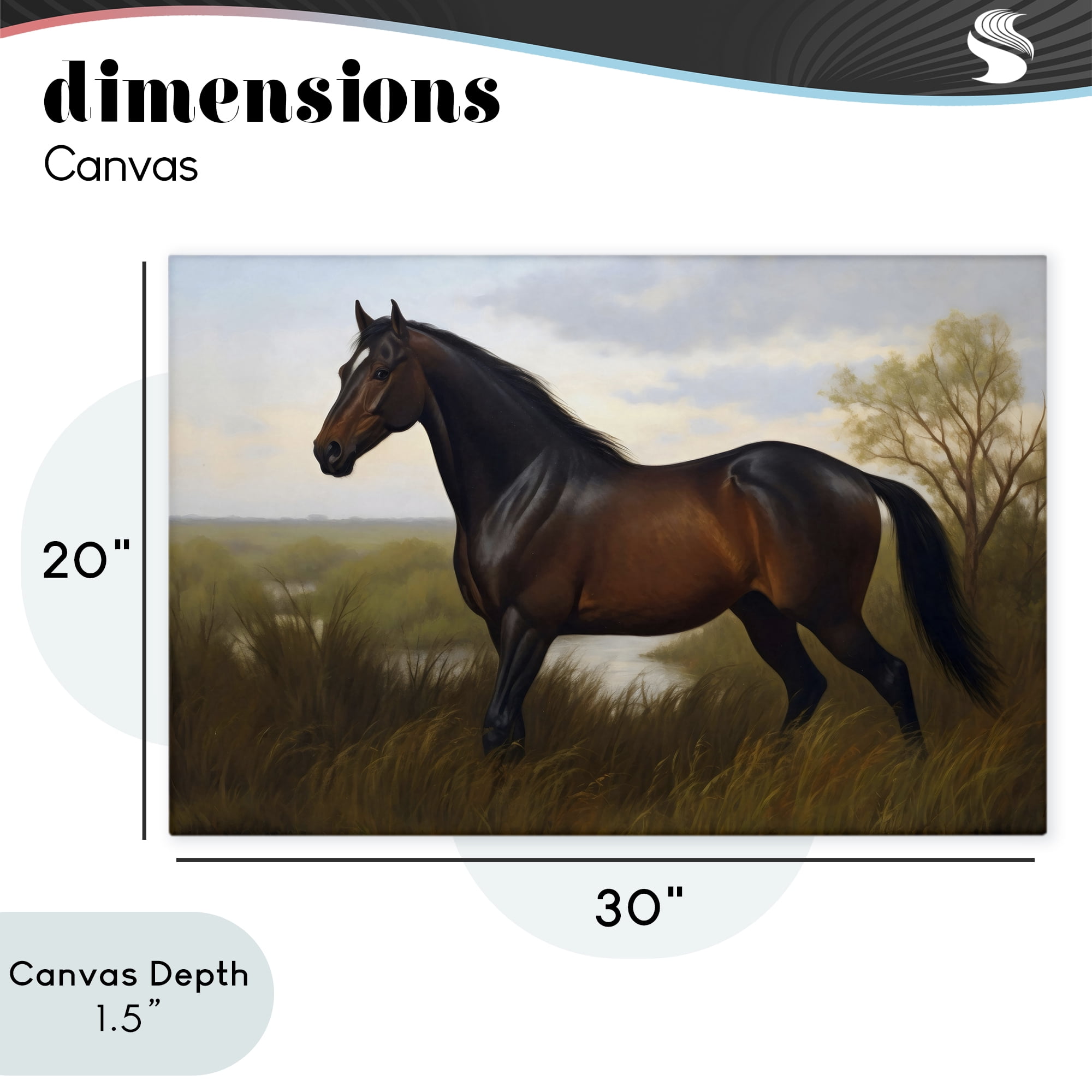 Stupell Industries Stallion in Marshland Canvas Wall Art, design by Creative Studio