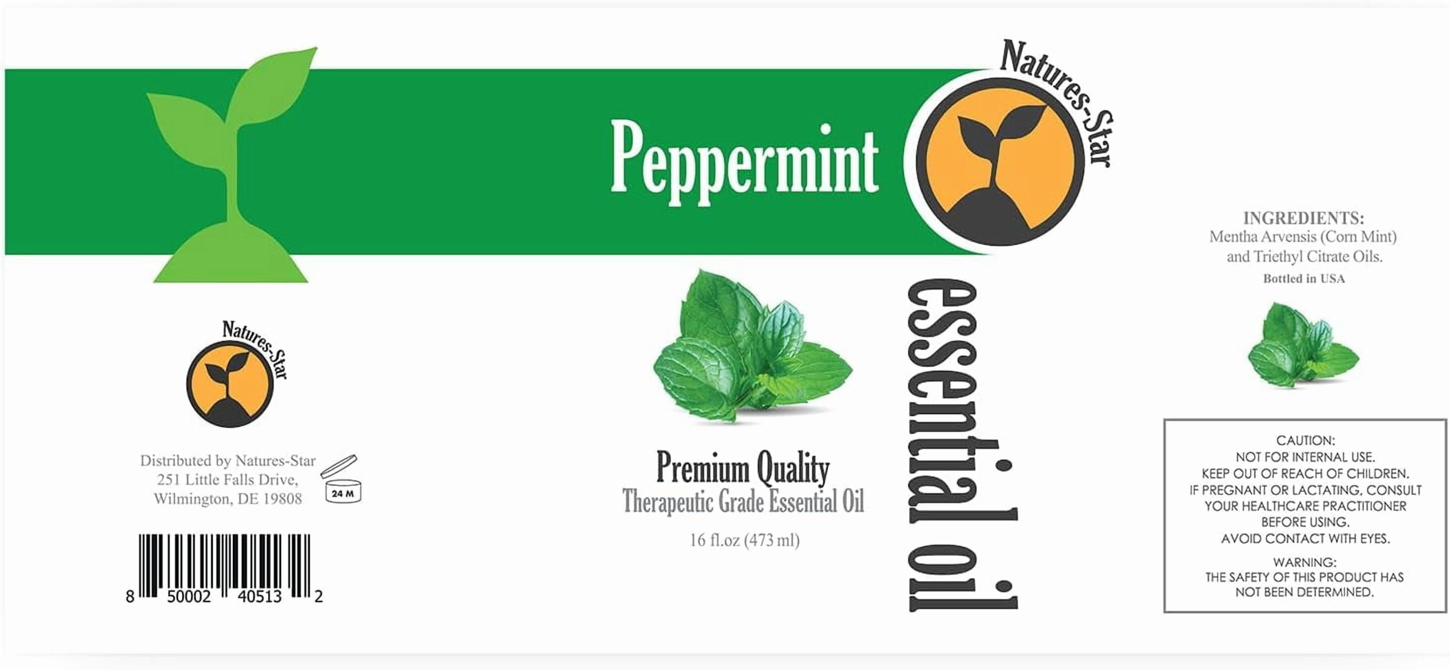 Natures-Star 16oz Bulk Peppermint Essential Oil - Therapeutic Grade for  Aromatherapy, Diffuser, Soap Making, Candles - Walmart.com