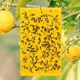 thumbnail image 2 of 20 trampas para moscas adhesivas amarillas para trampas adhesivas para moscas blancas, pulgones, polillas y mosquitos oso de fresa Electrónica, 2 of 2