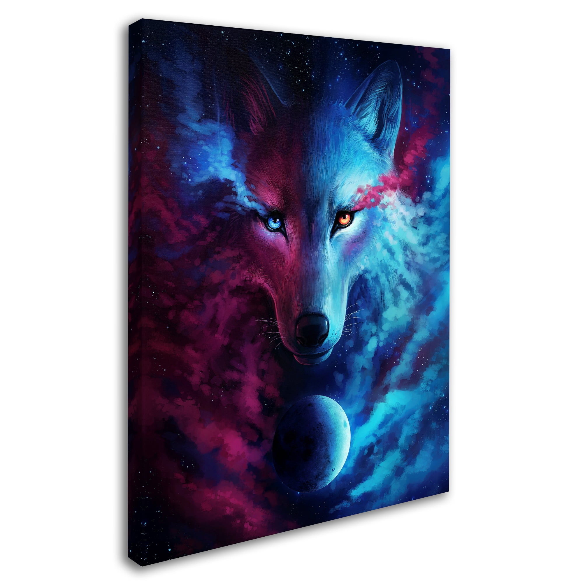 Trademark Fine Art 'Where Light and Dark Meet' Canvas Art by JoJoesArt