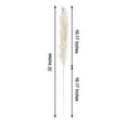 thumbnail image 2 of BalsaCircle White 6 Sprays Stems 32" Natural Pampas Grass Dried Plant Wedding Party, 2 of 8