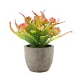 thumbnail image 2 of Bearachild Decoración artificial elegante plástica de la planta en conserva fácil limpiar aspecto realista respetuoso del medio ambiente Decoración Rosa roja, 2 of 6