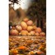 thumbnail image 1 of Telón de fondo ABPHQTO 150x220cm Feliz Halloween hojas fotografía para estudio familiar, 1 of 2