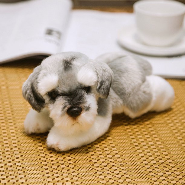 Juguete de simulación de Bichon Frise para perro, peluches de Pomerania, cachorros de cumpleaños, mascotas, amantes de las mascotas