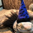 thumbnail image 3 of OHOIOLLA 1Jgo Disfraz Azul Para Con Falda Y Sombrero Accesorios Para Festiva, 3 of 8