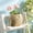 Decorative Succulents Plants Pot Under $5 a3, variant on Fufafayo Animal Succulents Pot Small Ceramic Planter, Cute Elephant Desktop Decoration, Breathable Stoneware Fleshy Flower Pot for Home Office Shelf