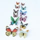 thumbnail image 5 of Adhesivo De Mariposa Que Brilla En La Oscuridad. Adhesivo 3D De Mariposa Para Decorar Techos Y Paredes. Mariposa Adhesiva Diy Para Habitaciones, Guarderías Y Salones. Mariposa Realista Que Brilla. J, 5 of 7