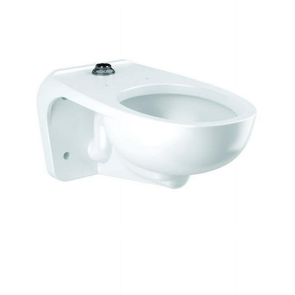 Sloan 2172459 1.1 & 1.6 GPF Water Closet with Tec Glaze Elongated Bowl
