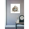 thumbnail image 3 of Epic Graffiti 'Bird Nest Study II' by Ethan Harper, Canvas Wall Art, 18"x18", 3 of 3