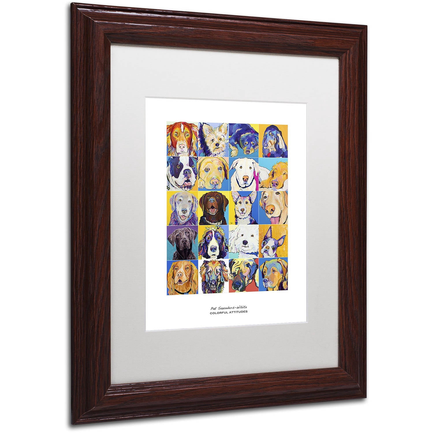Trademark Fine Art "Colorful Attitudes Poster" Canvas Art by Pat Saunders-White, White Matte, Wood Frame