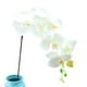 1pc Orchidée Artificielle Fleur de Simulation de Tige Fleur; Faux Plantes de Fleurs 7 Tête Tissu Simulation Fleur Maison Décoration de Mariage Fête – image 3 sur 6