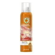 Herbal Essences Dry Shampoo, Body Envy, Instant Clean & Lightweight Fresh Feel, Citrus Scent, 140g (4.9 oz) + 3 Count Eyebrow Trimmer