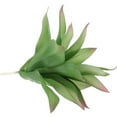 thumbnail image 4 of PENIKOKO 1Pc Faux Plant Artificial Greenery Decor for Room Coffee Table Counter Space Home Office, 4 of 8