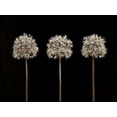 thumbnail image 2 of Frank, Assaf 24x19 Black Ornate Wood Framed with Double Matting Museum Art Print Titled - Allium flowers, 2 of 4