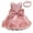 Pink, variant on EINCcm Ball Gown Dresses for Girls, Lace Bowknot Birthday Party Wedding Gown Princess Dresses for Toddler Kids Baby Girl, Hot Pink,12-18 Months