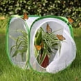 thumbnail image 2 of KEINXS Insect and Butterfly Habitat Cage Terrarium Pop-up 12 X 12 X 12 Inches-White With Green, 2 of 6