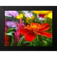 thumbnail image 2 of Popcorn 18x15 Black Modern Framed Museum Art Print Titled - Garden Flowers, 2 of 5