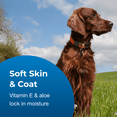 thumbnail image 4 of PetAg Fresh 'n Clean Moisturizing Scented Shampoo for Dogs - For Manageable & Shiny Dog Hair - Classic Fresh Scent - 15:1 Concentrate - 128 fl oz (Makes 16 Gallons), 4 of 5