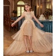 thumbnail image 3 of Drtj 2-14T Kids Teens Girls Dresses Sequin Party Formal Pageant Dress Tween Birthday Tulle Prom Princess Maxi Dress, 3 of 7