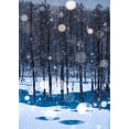 thumbnail image 2 of Sono, Hidenori 11x14 Gold Ornate Wood Framed with Double Matting Museum Art Print Titled - Never never Land, 2 of 4