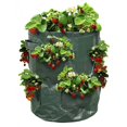 thumbnail image 1 of G Need Sac à Fraises - Sac de Plantation Compatible avec les Fraises - X2, 1 of 5