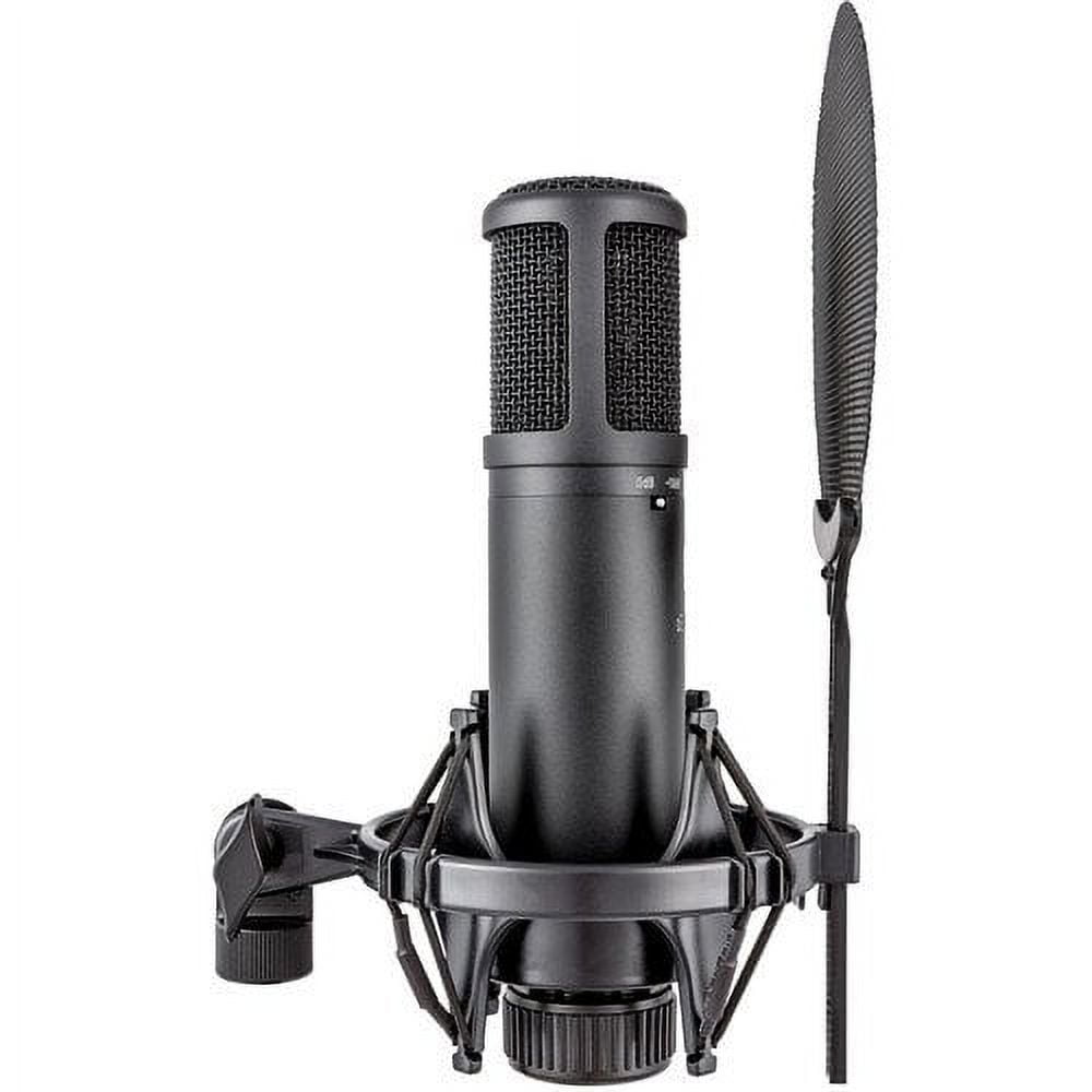 sE Electronics sE2200 Studio Condenser Cardioid Microphone with Isolation Pack plus XLR-XLR Cable and Pop Filter