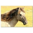 thumbnail image 1 of Horse Ceramic Tile Mural Kitchen Backsplash Bathroom Shower, 402866-L64, 1 of 3