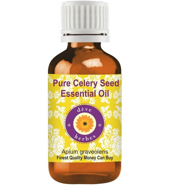 Deve Herbes Pure Celery Seed Essential Oil (Apium graveolens) Natural Therapeutic Grade Steam
