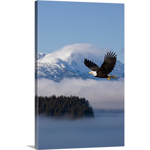 Great BIG Canvas | "Bald Eagle in flight over the Inside Passage near Tongass National Forest" Canvas Wall Art - 24x36