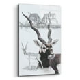 thumbnail image 2 of Epic Art 'Black Buck' by Barbara Keith, Acrylic Glass Wall Art, 12"x16", 2 of 8