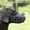 Grey L, variant on mdesiwst Silicone Dog Muzzle Rhino Design Soft Basket Muzzle with Adjustable Strap Funny Dog Muzzle to Prevent Biting Barking Chewing for Small Medium Large Dogs Training Grooming