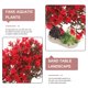 thumbnail image 3 of BESTYASH Planta Plástica Roja Para De Peces Con Y Base Reforzada Decorativa, 3 of 6