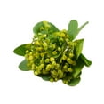 thumbnail image 2 of Simulated Love Bean Plastic Flower Handle Flower Accessories Decorative Bouquet, 2 of 9