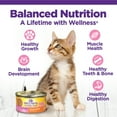 Wellness Complete Health Kitten Canned Wet Cat Food, Chicken Pate, 3