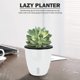 thumbnail image 5 of Maceta para interior y exterior, resistente al sol, para plantas suculentas (M) Likrtyny Libre de BPA, 5 of 8