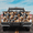 Dachshund, variant on Lotusprinthandmade A Bunch Of Yorkshire For Lovers Graphic Decal Tailgate Wrap 2 Sizes (24"x58")