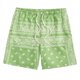 thumbnail image 1 of WILLBEST Pantalones Cortos de Playa de Verano con Estampado de Cachemira y Cintura con Cordón Bohemio para Hombre, 1 of 2