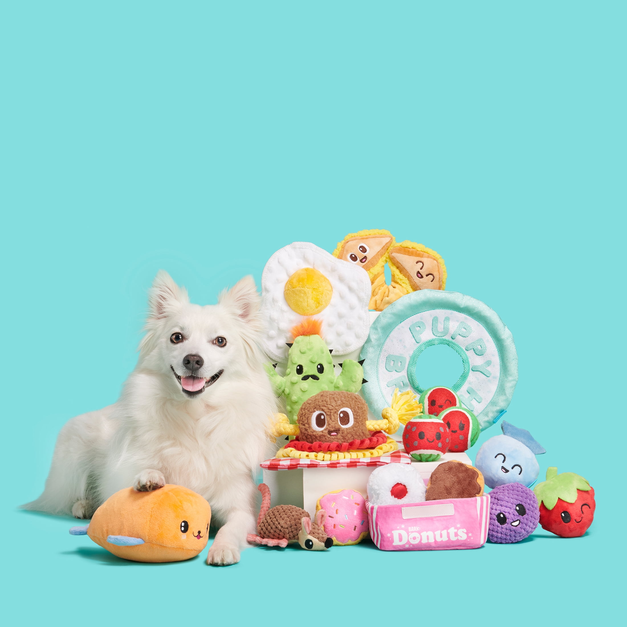 BARK Santiago Seal Dog Toy - Features a Surprise Toy Hidden Inside, Small to Medium Dogs