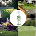 thumbnail image 4 of Green Grass Lawn Spray, Lawn Paint Lawn Colorant, Natural Green Spray Paint, 4 of 4